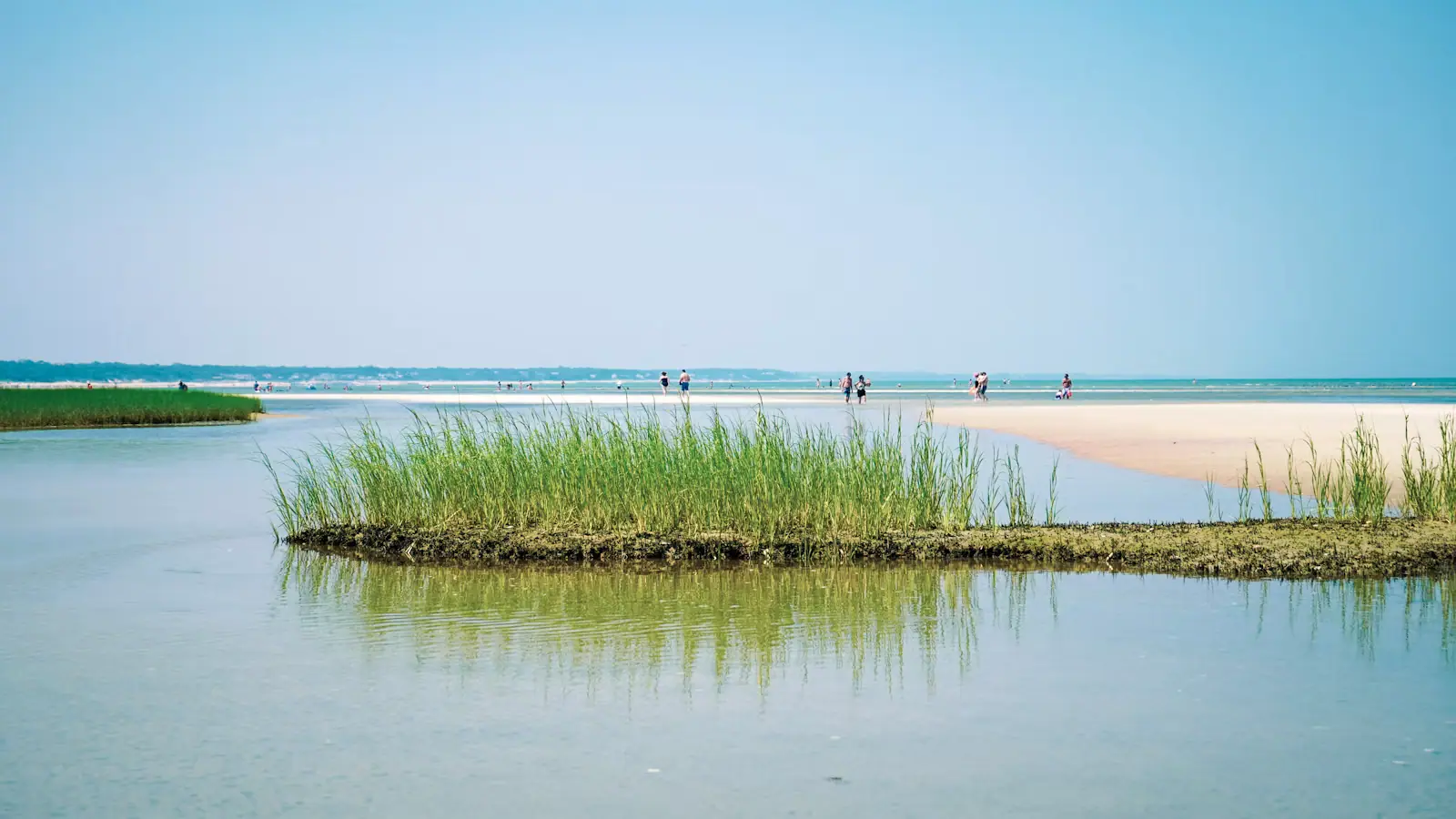 People walking out across wet sand flats at low tide on the bay side of Cape Cod