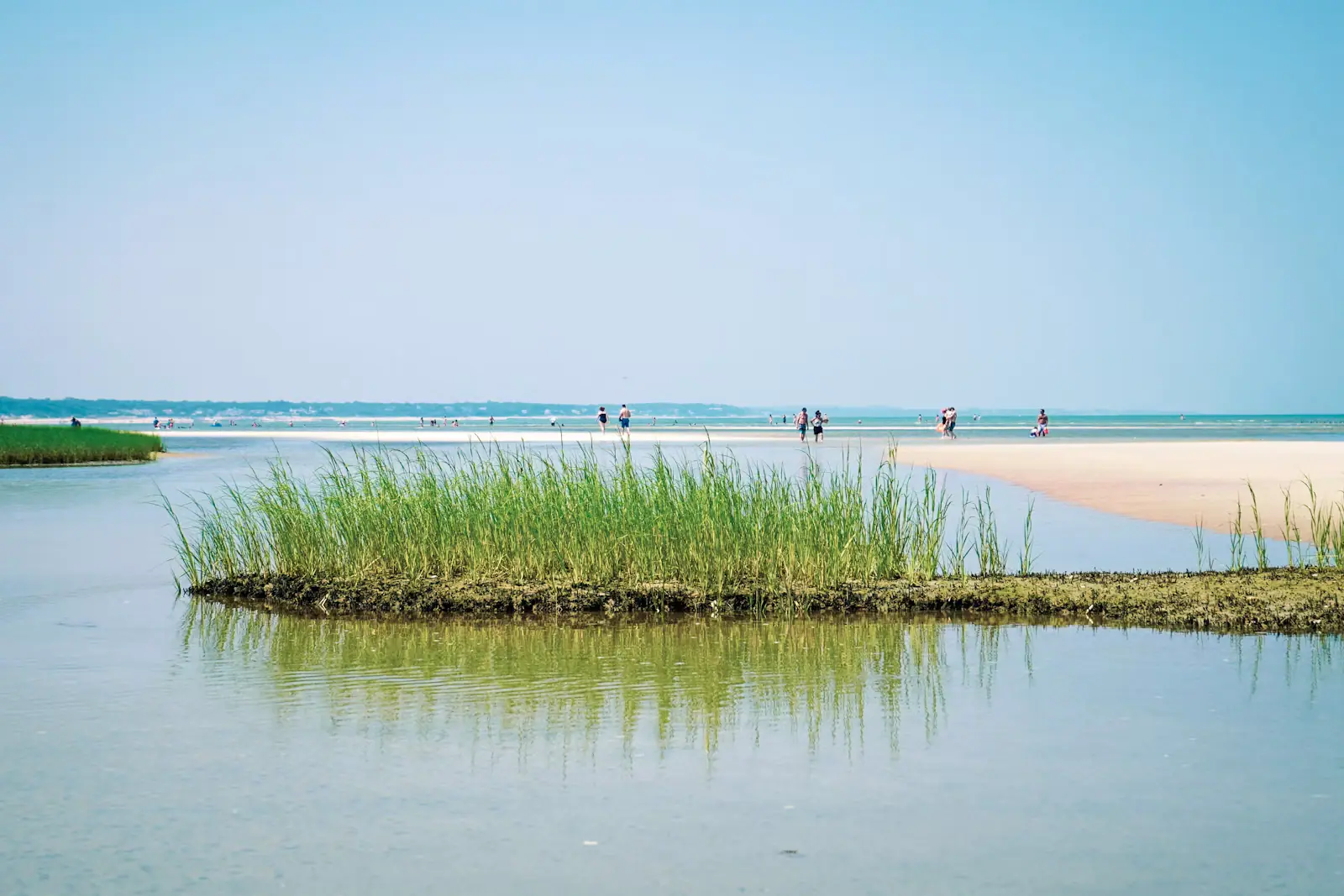 People walking out across wet sand flats at low tide on the bay side of Cape Cod