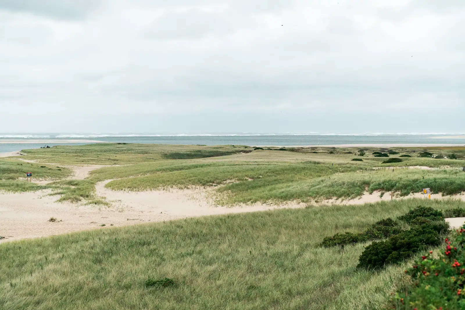 Salt marsh grass and a winding tidal channel under a wide overcast sky on Cape Cod