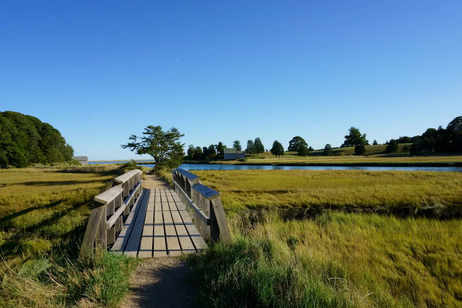 A wooden boardwalk crossing a grassy salt marsh on Cape Cod