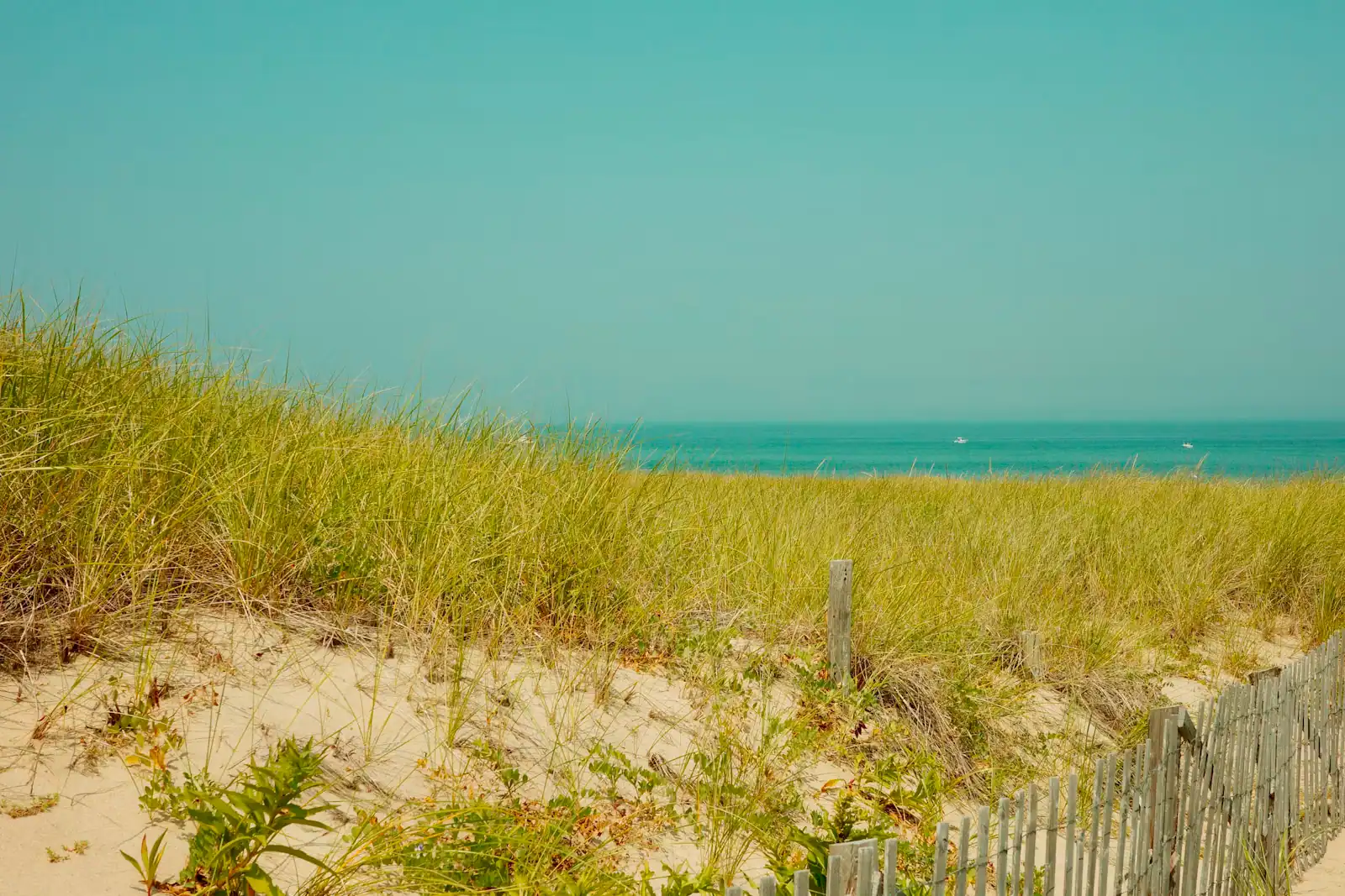 A weathered slat fence running along the edge of a grassy dune above a Cape Cod beach