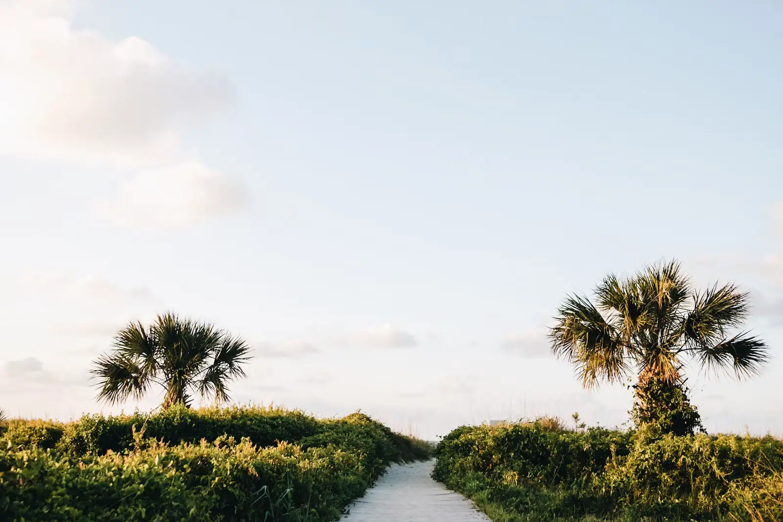 A paved pathway running between green grass under an overcast sky