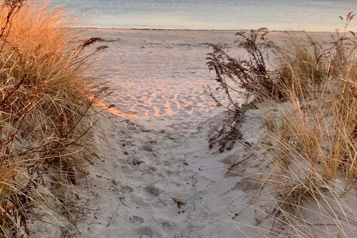 A sandy footpath lined with beach grass dropping down toward the shore on Cape Cod