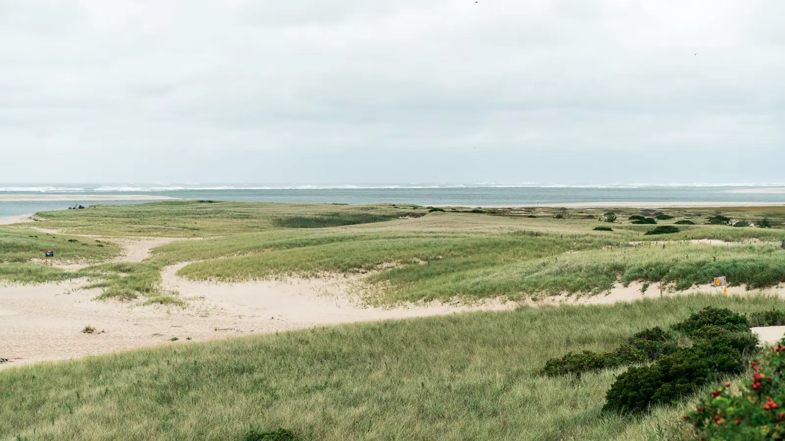 Salt marsh grass and a winding tidal channel under a wide overcast sky on Cape Cod