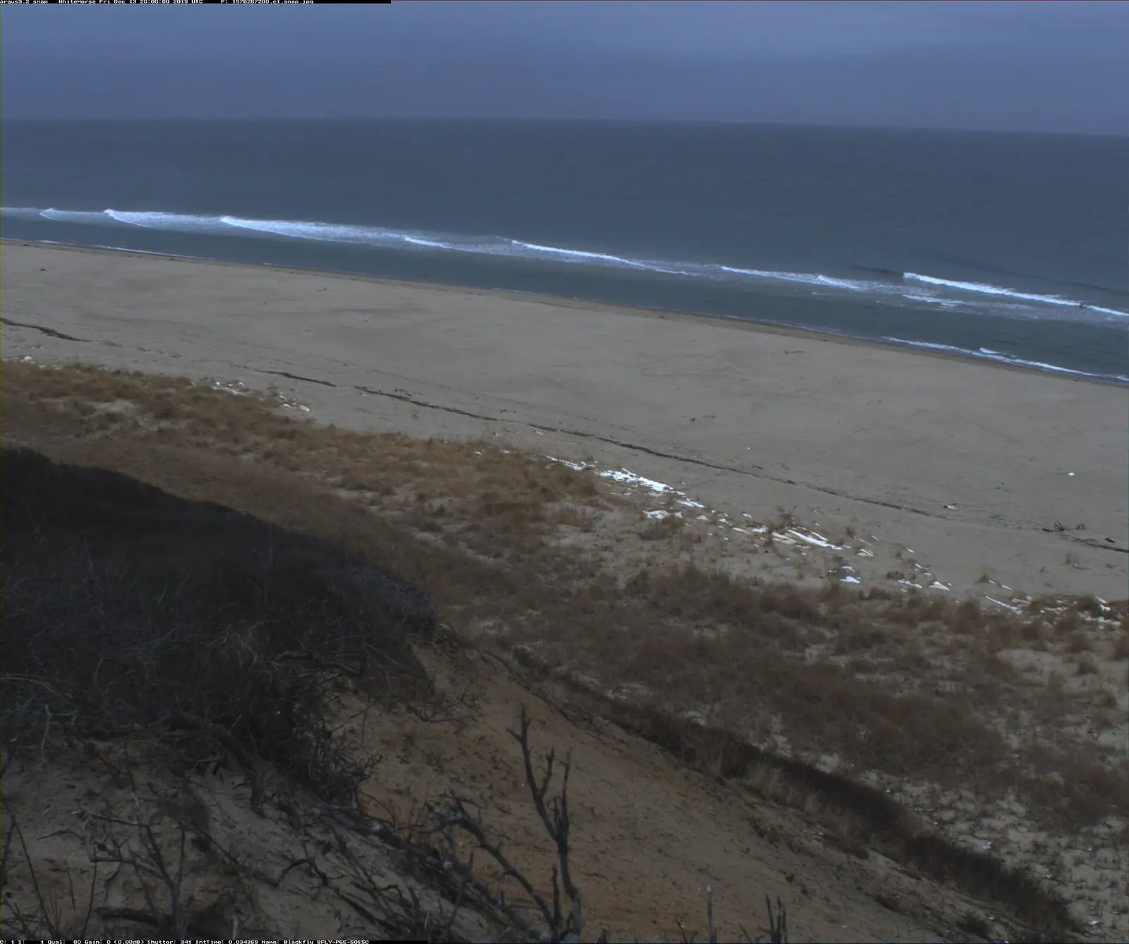 A long empty beach of pale sand backed by low dune vegetation with no buildings in sight