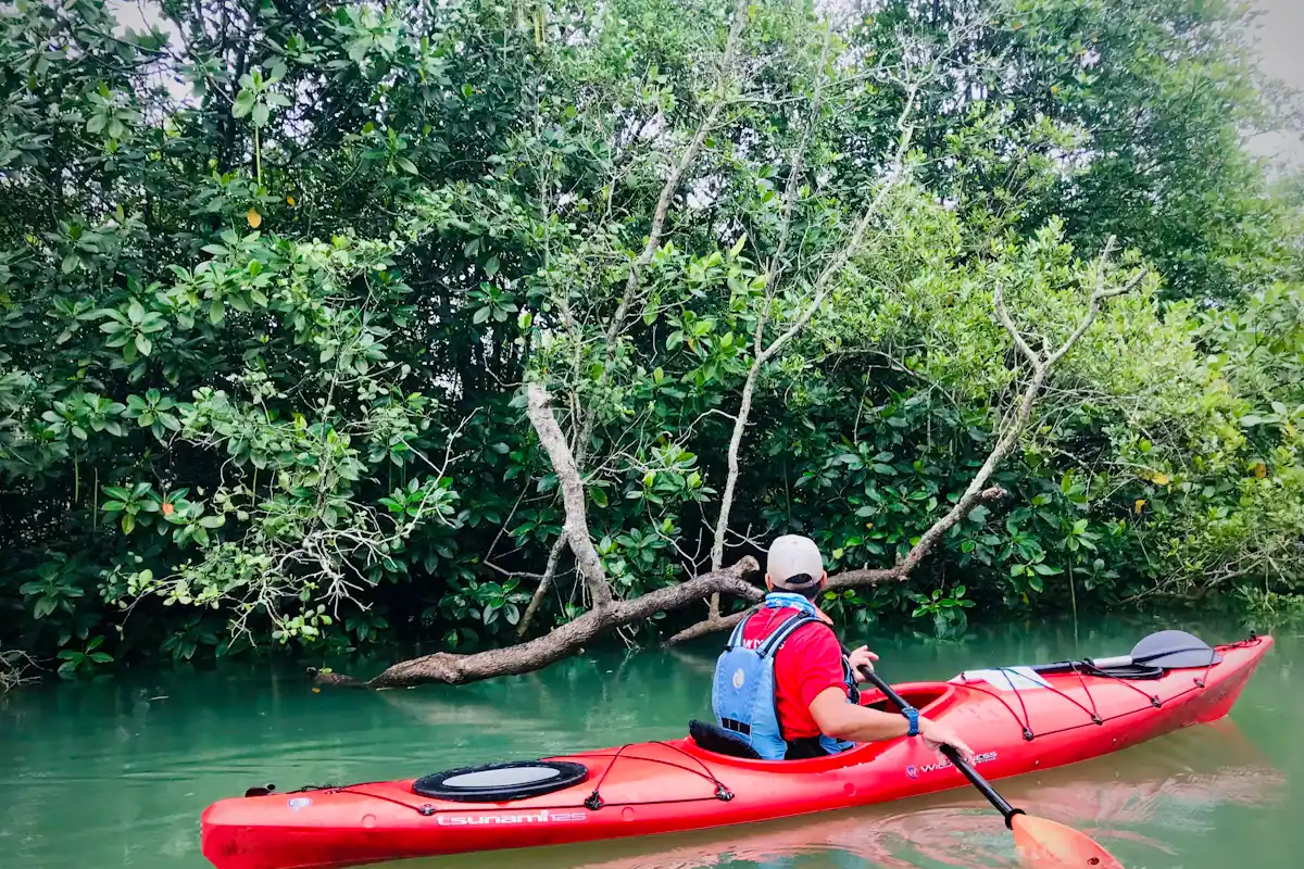A person paddling a red kayak along a sheltered stretch of calm water