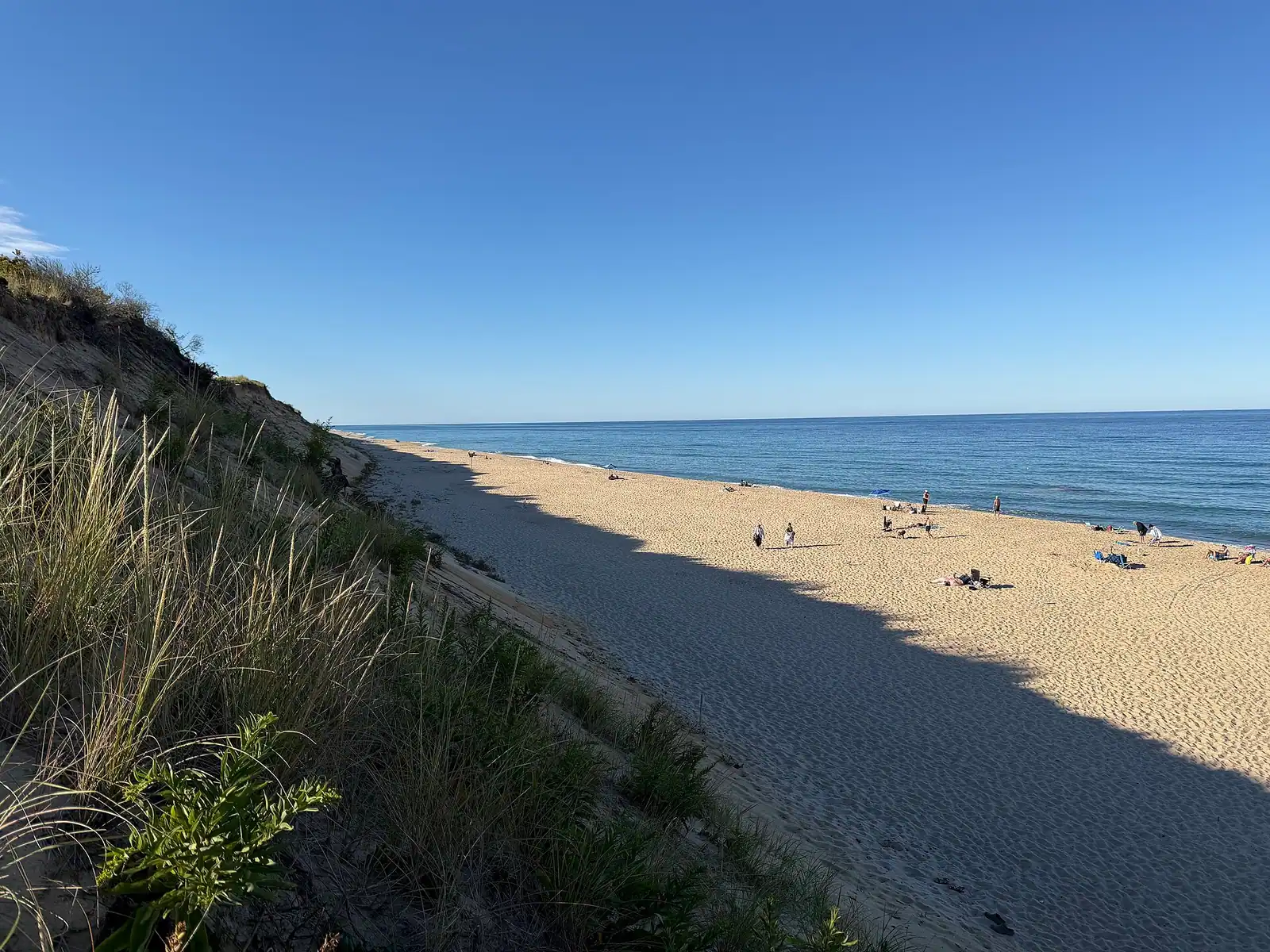 A weathered slat fence running along the edge of a grassy dune above a Cape Cod beach