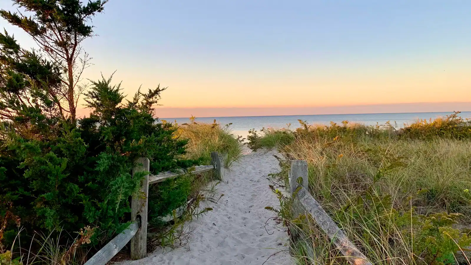 A sand path cut through beach grass opening onto the open Atlantic on Cape Cod's outer shore