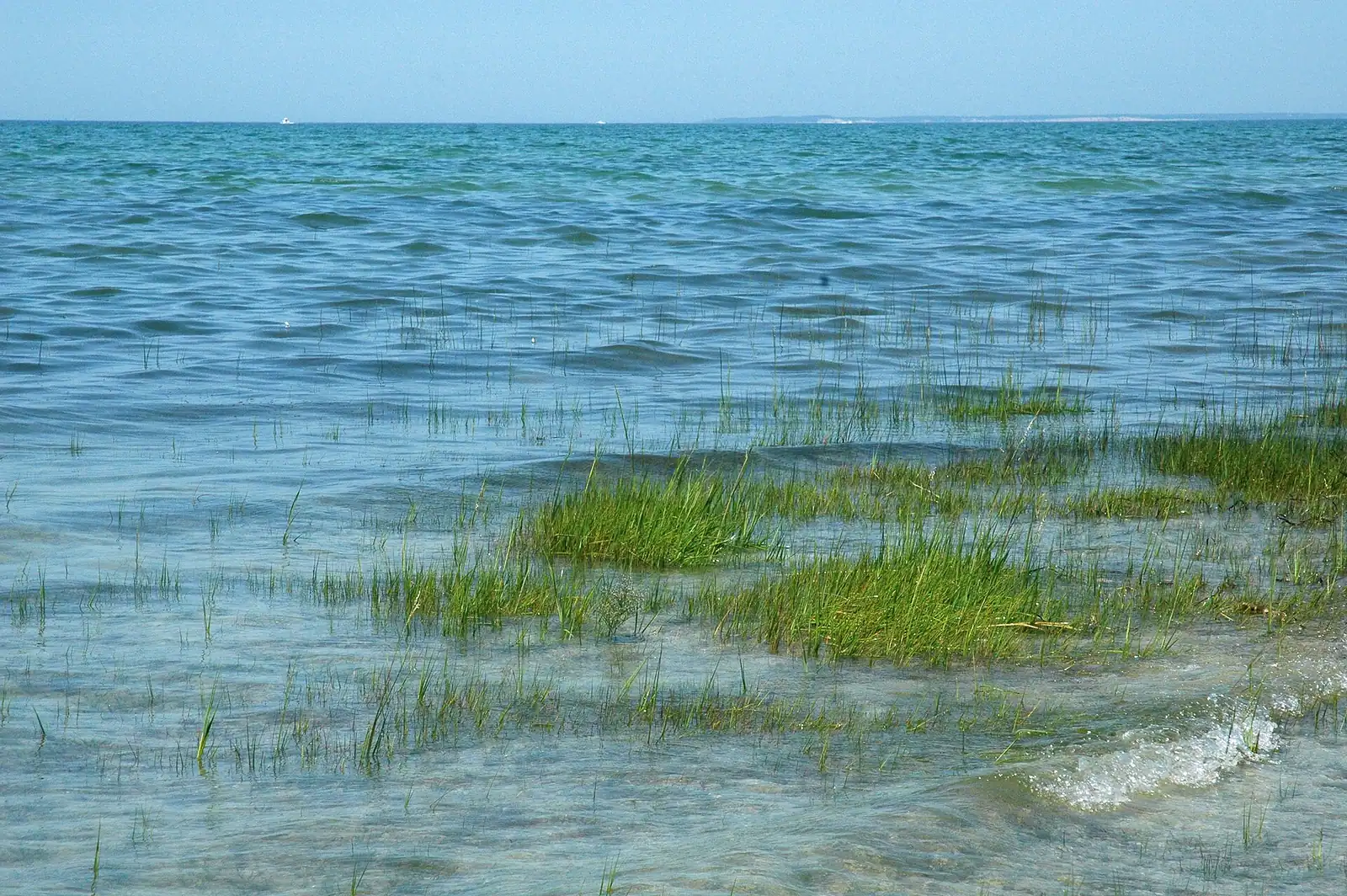 Low sun over a thin sheet of water lying on an exposed sand flat at low tide