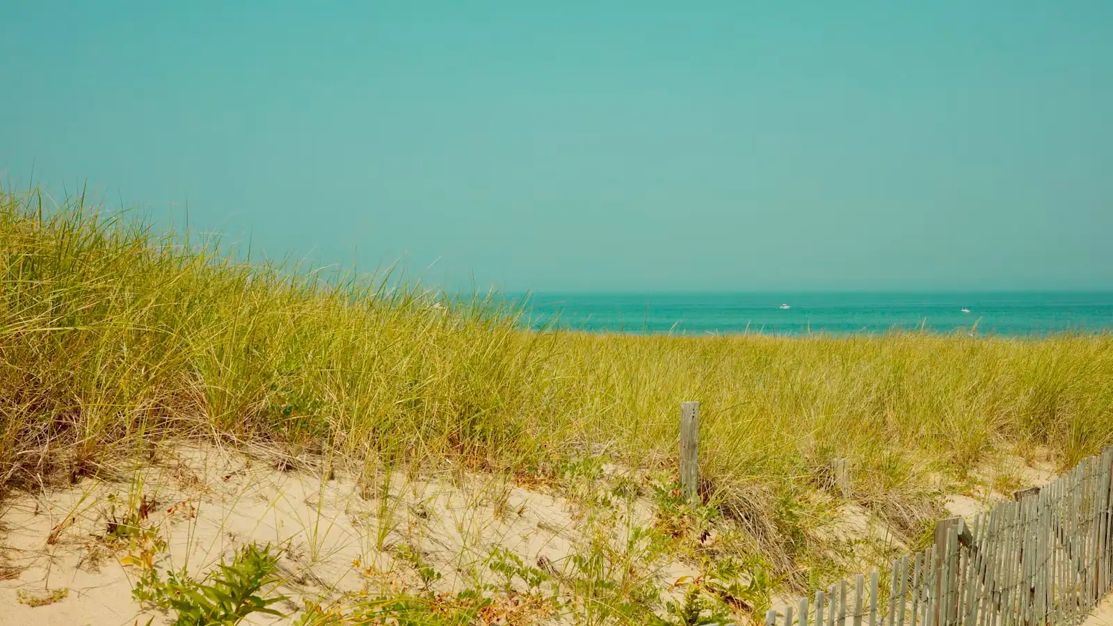 A weathered slat fence running along the edge of a grassy dune above a Cape Cod beach