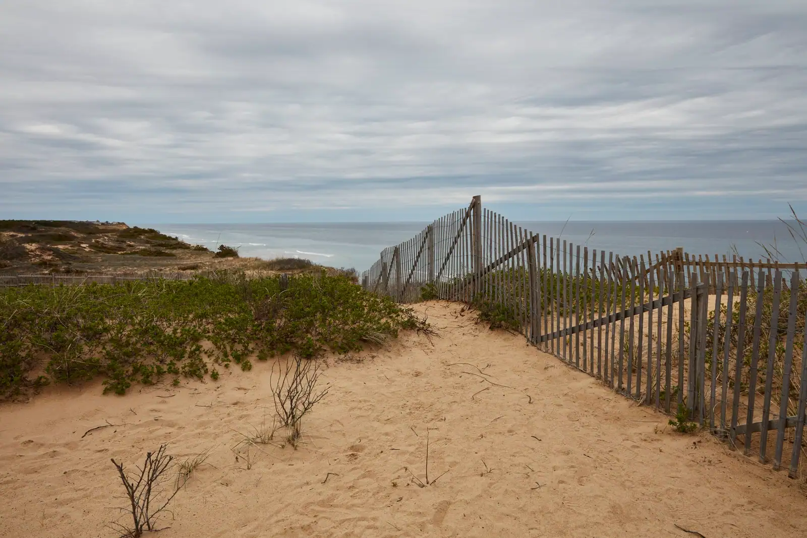 A sand path cut through beach grass opening onto the open Atlantic on Cape Cod's outer shore